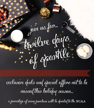 12 Days of Sparkle + 2016 Holiday Gift Guide!